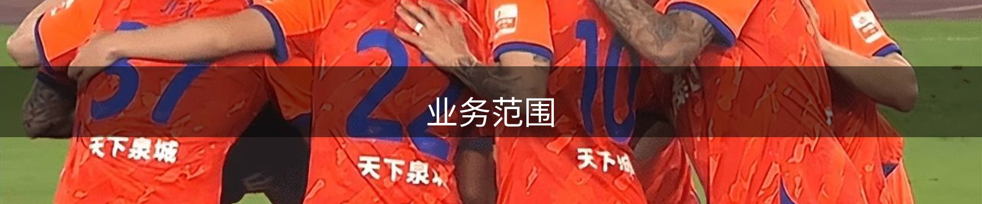 业务范围